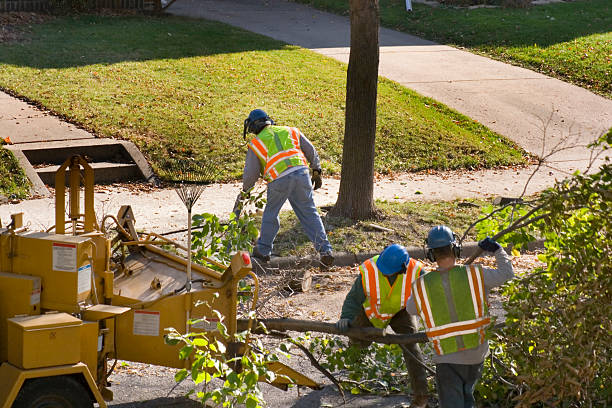 Best Landscape Design and Installation  in Whiteland, IN